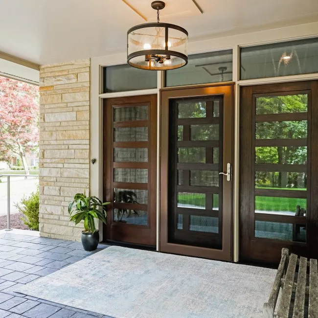 modern entry doooor